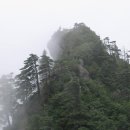 하모니카 (연주자) 이미지