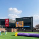 도그와트 | 야외가 넓은 애견카페! 말티푸 자유만끽한 도그와트 위치/가격/메뉴/주차무료