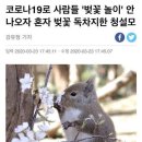 꽁쓰 이미지