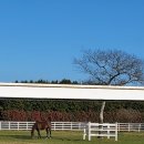 유연목장 이미지