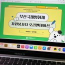 제29회 부산국제영화제 (BIFF) 자원봉사 후기