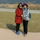 순천만힐링 이미지