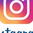 강남 고양이 분양 캣프렌즈 이미지