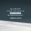 라우루스 이미지