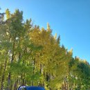 경주시 보건소 화장실 이미지