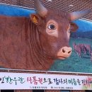 단풍미인한우관 이미지