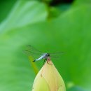 왕송호수공원 이미지