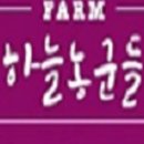 하늘파트너스 이미지