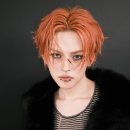 요시 이미지