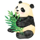 오감 중국어 이미지