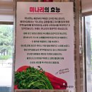효동얼큰샤브손칼국수 이미지