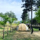 한국타이어 경안상사(용인점) | 대구중고차 딜러 엠월드 , 수입차 지프 랭글러 루비콘 판매 후기