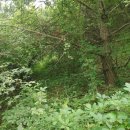 단양군어상천면덕문곡보건진료소 이미지