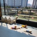 덕분이야모든개 이미지