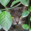 똘이똘이엄마식당 이미지