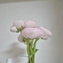 청명어린이집 | 서울 국제불교 박람회, 청명을 맞은 일상 이야기