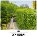 계산성당, 태극기, | 대구 당일치기 가볼만한곳 청라언덕 계산성당 근대골목 코스