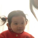 본비 이미지