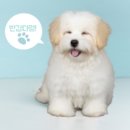 뚜드림 부산점 이미지