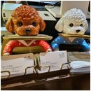 팔봉수피아 | 홍천 감성카페에서 반려견과 행복한 시간, 팔봉수피아 카페