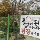 허니비프로젝트 이미지