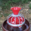 꼬꼬양계농장 이미지