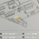 원도심 은행나무 이미지