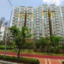 아리수로 94길 이미지