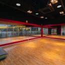 아인스 휘트니스 이미지