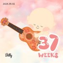 전주 한별산부인과 한별여성의원 37주1일 제왕절개 1일차 2일차 후기
