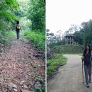 고종시마실길 이미지