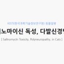 인섹트 파워 이미지