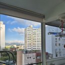 삼보신우 이미지