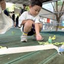 퍼스트가든 동물카페 이미지