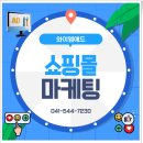 쇼핑몰 마케팅, 광고 선택이 성패를 가른다