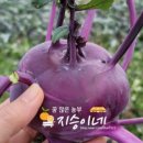 지승이네농장 이미지