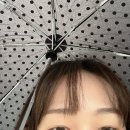 슈레드바이크 | 행복 지수 100퍼센트!