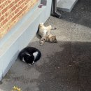 수복한의원 | 3월