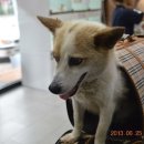 제일은행 앞 이미지