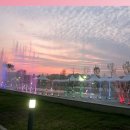 금강로하스산호빛공원 야외수영장 이미지