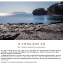돌 위에 멈춘 태고의 숨결 이미지