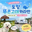 4657 | [포항 가성비 카라반] 애견 동반 가능한 가성비 카라반 “푸른고래카라반” 솔직 후기 | 내돈내산