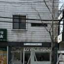 러브시티독 이미지