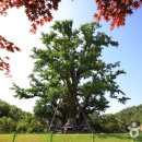 수곡용계로(길안면) 이미지