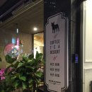 살롱드퍼피 이미지