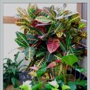 벧엘한의원 이미지