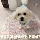 하늘달빛로L | 영종도 신상 애견 편집샵 뽀쥬르멍 방문 후기 Ι 여름이 실착 리뷰