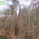 완산-36 이미지