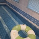 더 코지 이미지