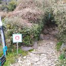 안덕면 대평 버스정류장 이미지